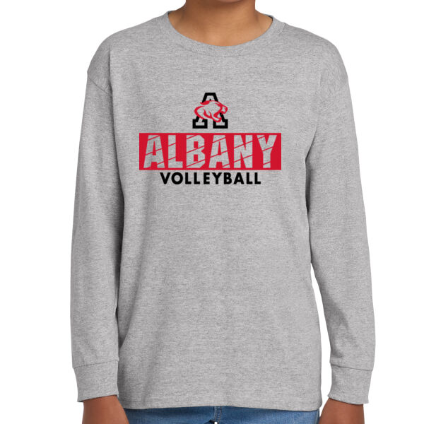 Albany Volleyball Grey Youth Heavy Cotton 100% Cotton Long Sleeve T Shirt Thumbnail